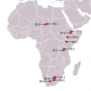 Africa,_australopitecines_discovery_sites