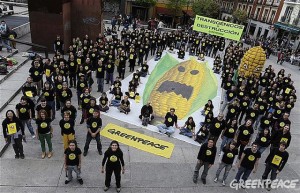 Campaña anti trangenicos.