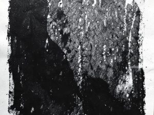 2332700_orig