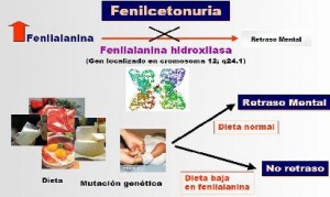 fenilcetonuria