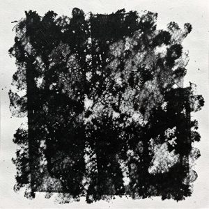 14302480_675431802623000_1721972128_n