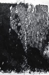 9788415601074
